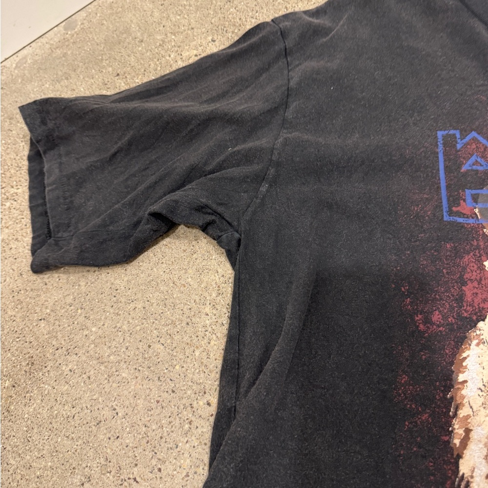 Anine Bing Charcoal Crewneck Tiger Tee - Picture 5 of 8